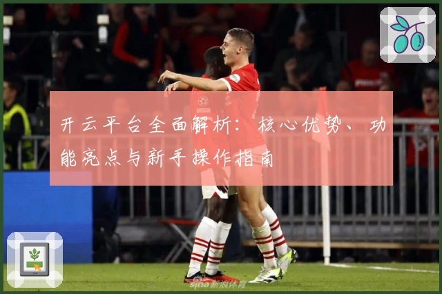 开云平台全面解析：核心优势、功能亮点与新手操作指南